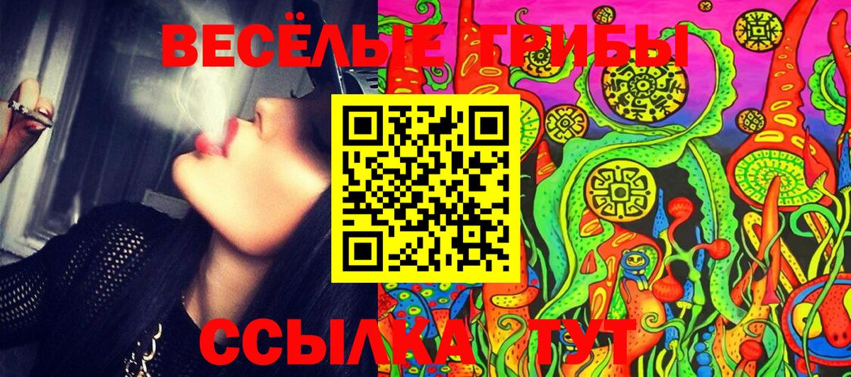 Галлюциногенные грибы GOLDEN TEACHER Донецк
